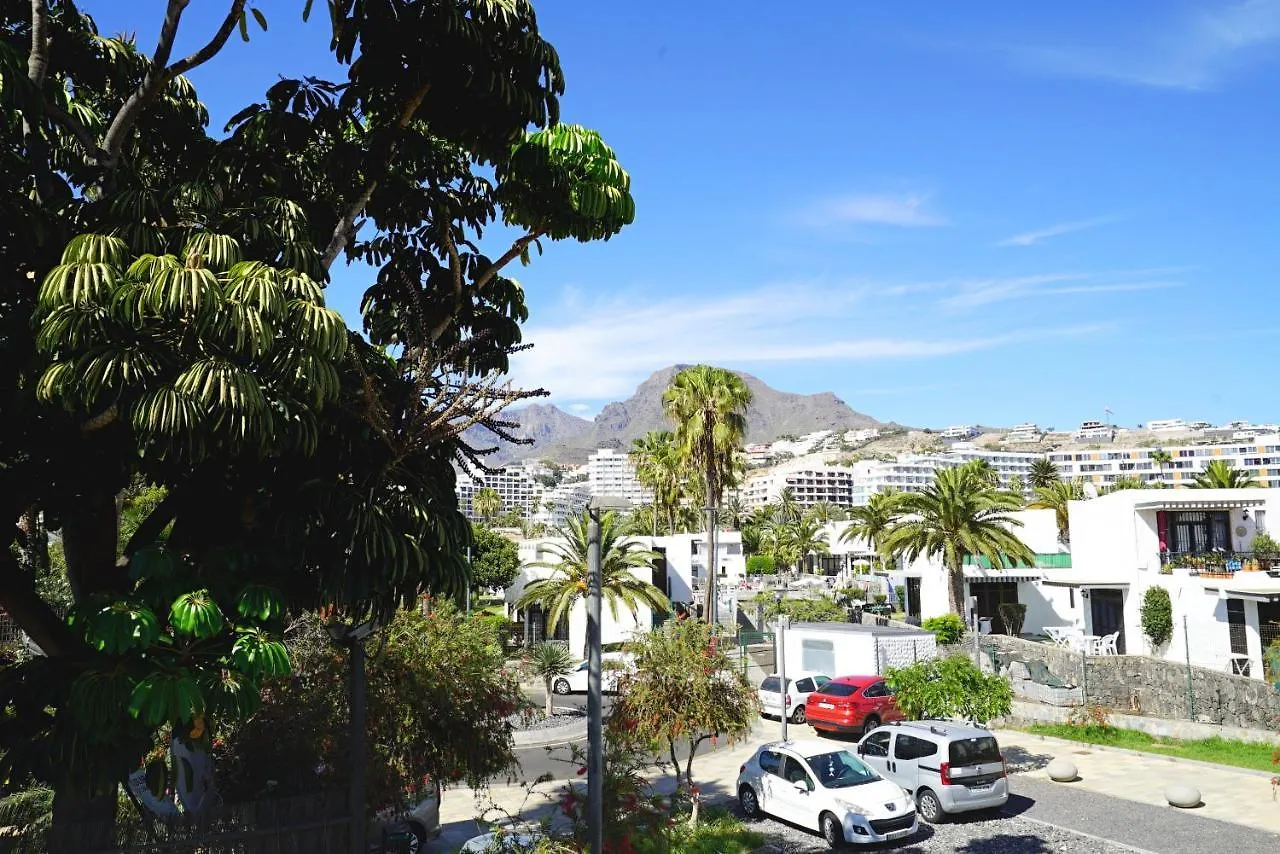 Fantastic Vacation By The Ocean Apartment Playa de las Americas