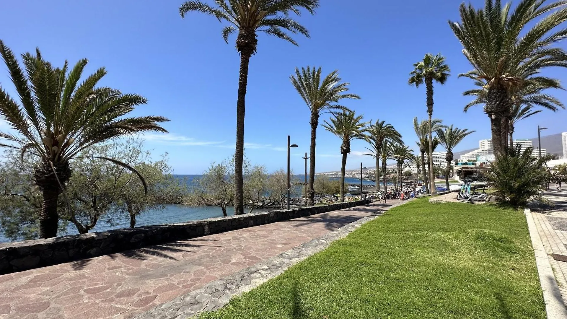 Fantastic Vacation By The Ocean Apartment Playa de las Americas   Playa de las Americas (Tenerife)